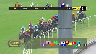 Vidéo de la course PMU PRIX CLASS 4