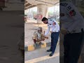 Traffic Police kindness video Traffic Police Lahore action video traffic Police shorts video viral
