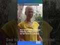 Remembering Mona Khalil, Beloved Lebanese Sea Turtle Conservationist Killed in Israeli Airstrike