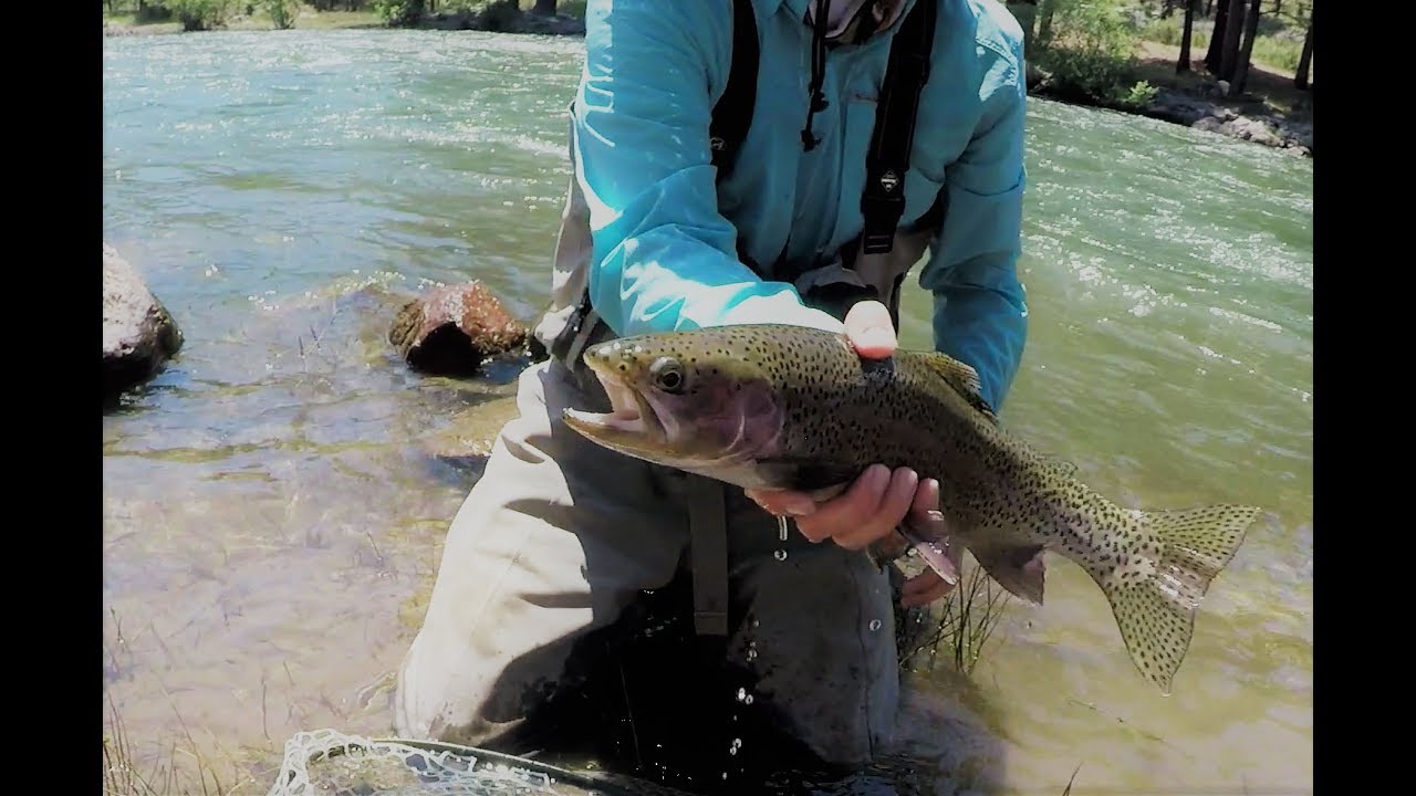 Fishing the Truckee River YouTube