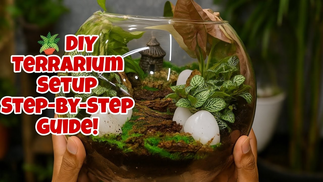 🌿 How to Make a Terrarium Step by Step | Beginner-Friendly Indoor ...