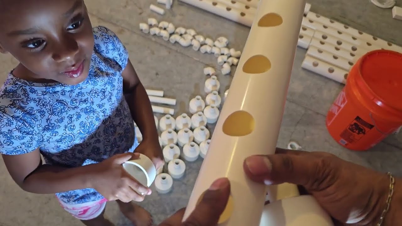 Как сеять семена в гидропонной системе | Гидропонное садоводство для начинающих