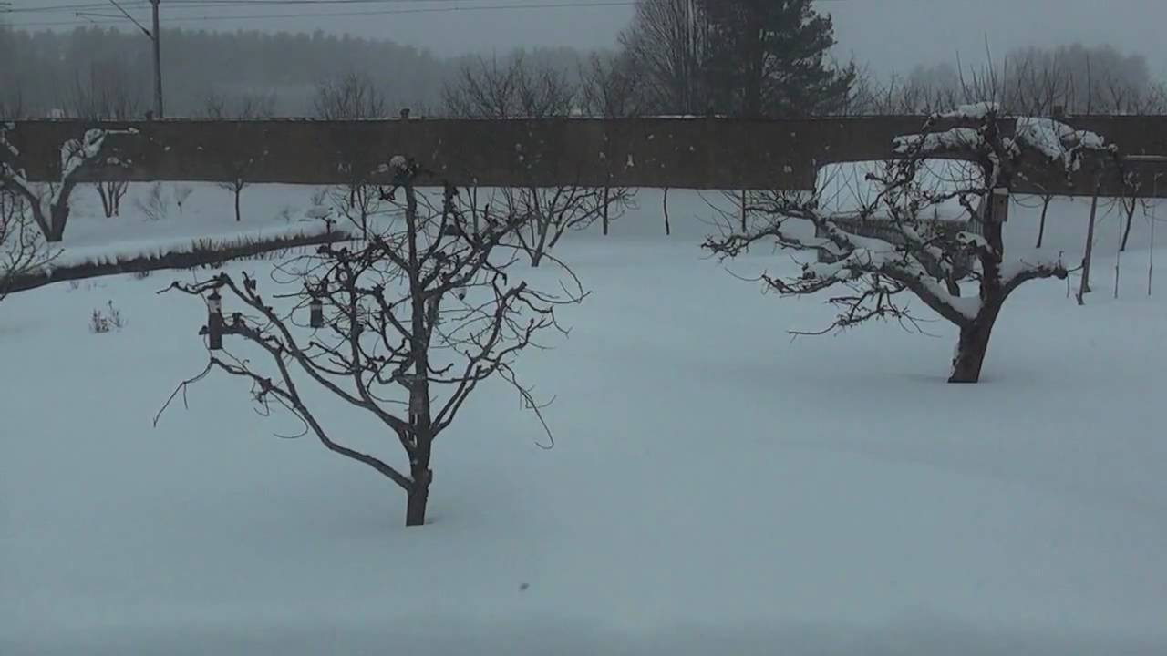 Vinter i Vikingstad. [HD]