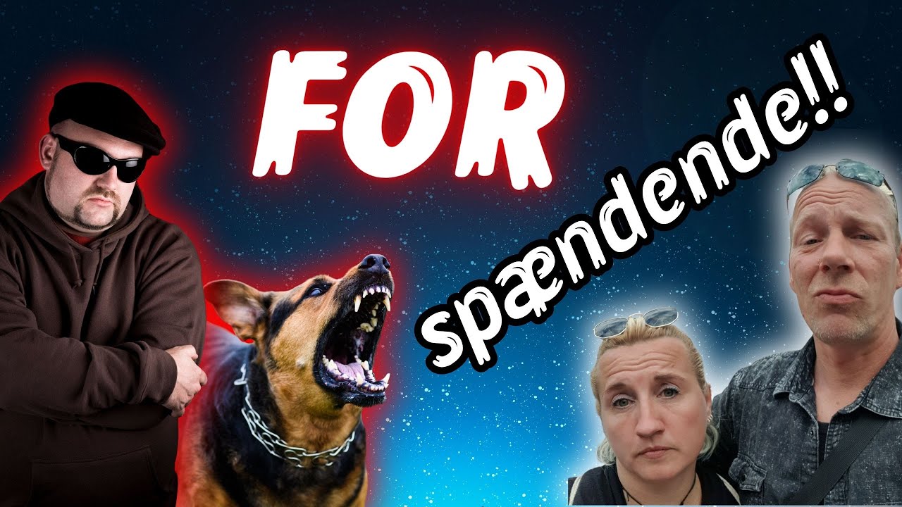 3 timers flugt i autocamper gennem Albanien!!