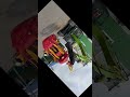 Зимой и летом одним цветом? #woody