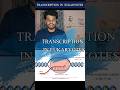 Dna transcription/Eukaryotes/tamil/notes/process/diagram/rna synthesis/gene expression/csir net/dna