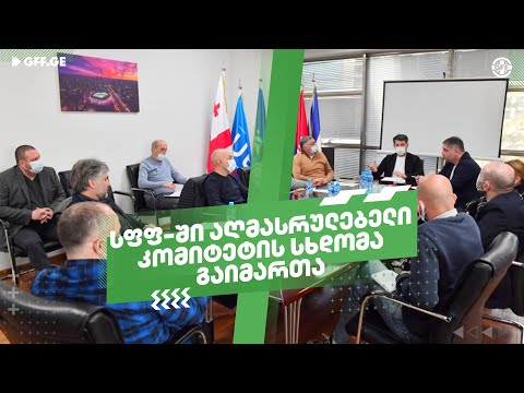 აღმასრულებელი კომიტეტის სხდომა სფფ-ში