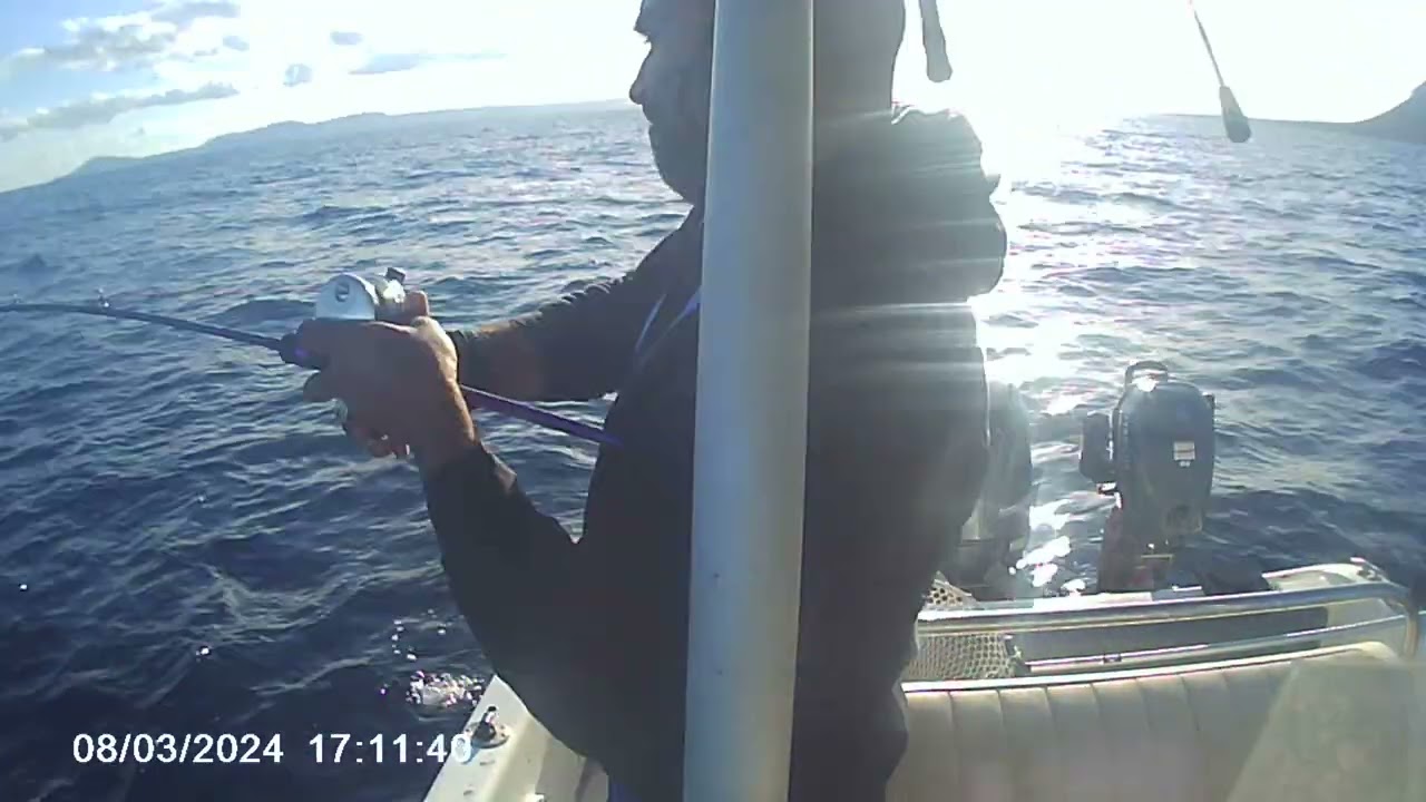 ΠΕΙΝΑΣΜΕΝΗ ΣΥΝΑΓΡΙΔΑ.......