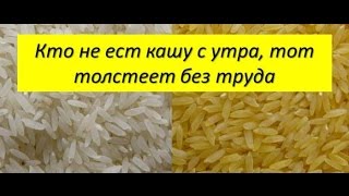 Кто не ест кашу с утра, тот толстеет без труда Кто не ест кашу с утра, тот толстеет без труда