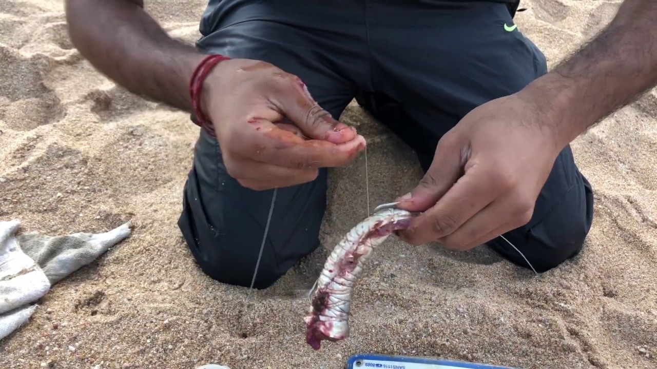 How to Bait up a sardine with double hook YouTube