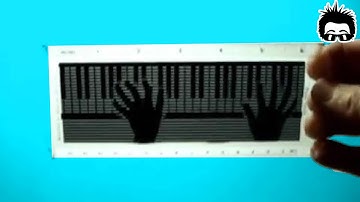 REAL-LIFE GIF animation - "In a Nutshell"