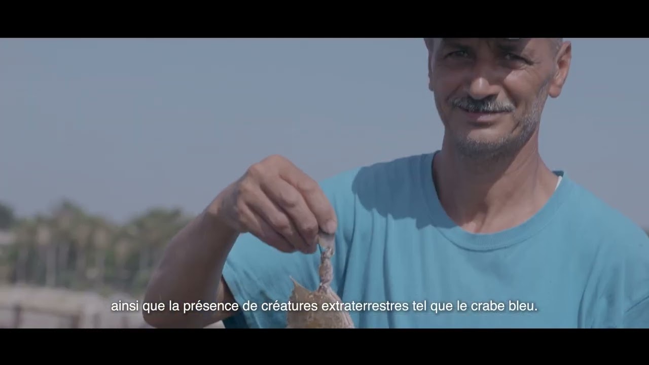 Bizerte-Ichkeul : Enjeux environnementaux et défis climatiques