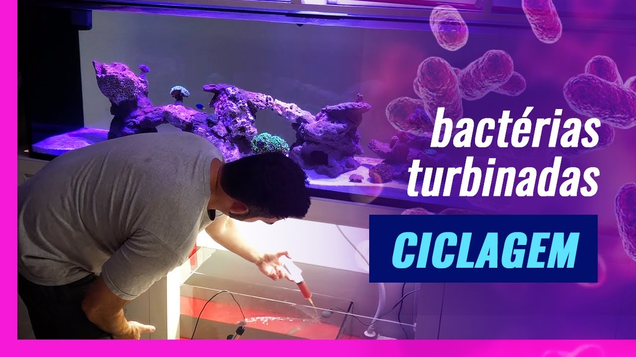 CICLANDO O AQUÁRIO: Acelerando a Ciclagem do Marinho