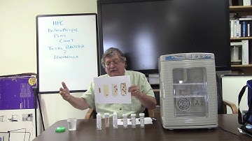 Weekly Bacteria HPC Dip Slide Testing