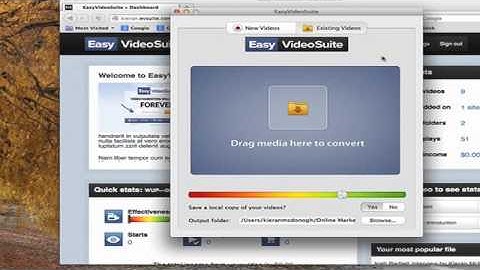 1. Easy Video Suite (EVS) - The Main Components
