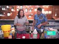 HiNow Cleaning Hacks aired 011024