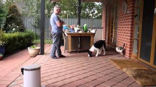 Michael Kubik & Millhe 20150519