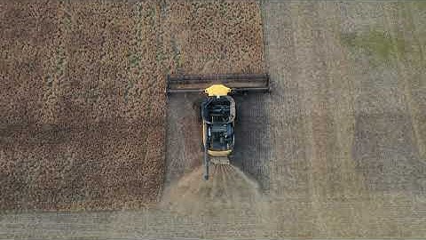 Combining Peas With a CR9080
