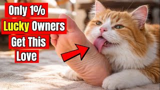 14 Rare Behaviors Cats Show ONLY When They Love You Deeply