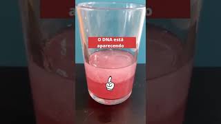 EXTRAÇÃO DNA MORANGOS! #dna #biologia #acidosnucleicos #nucleo