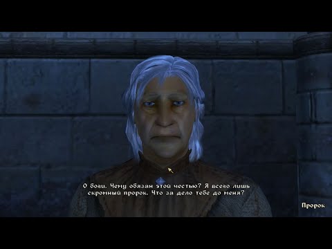 Видео: The Elder Scrolls IV: Oblivion - рицари на деветте