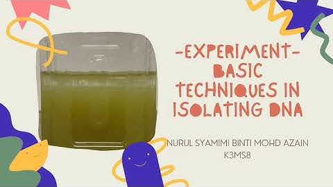 EXPERIMENT 6 : BASIC TECHNIQUES IN ISOLATING DNA