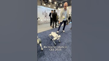 Robotic dogs in CES 2025￼