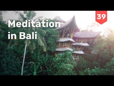 Video: En Meditation På Bali-Matadors Netværk