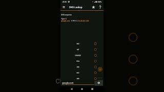 How to get all DNS Lookup records on Android screenshot 4