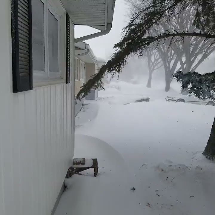 Windy day in Winter