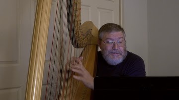 Dealing With Stage Fright   with David Ice, principal harp,  MusicaNova Orchestra