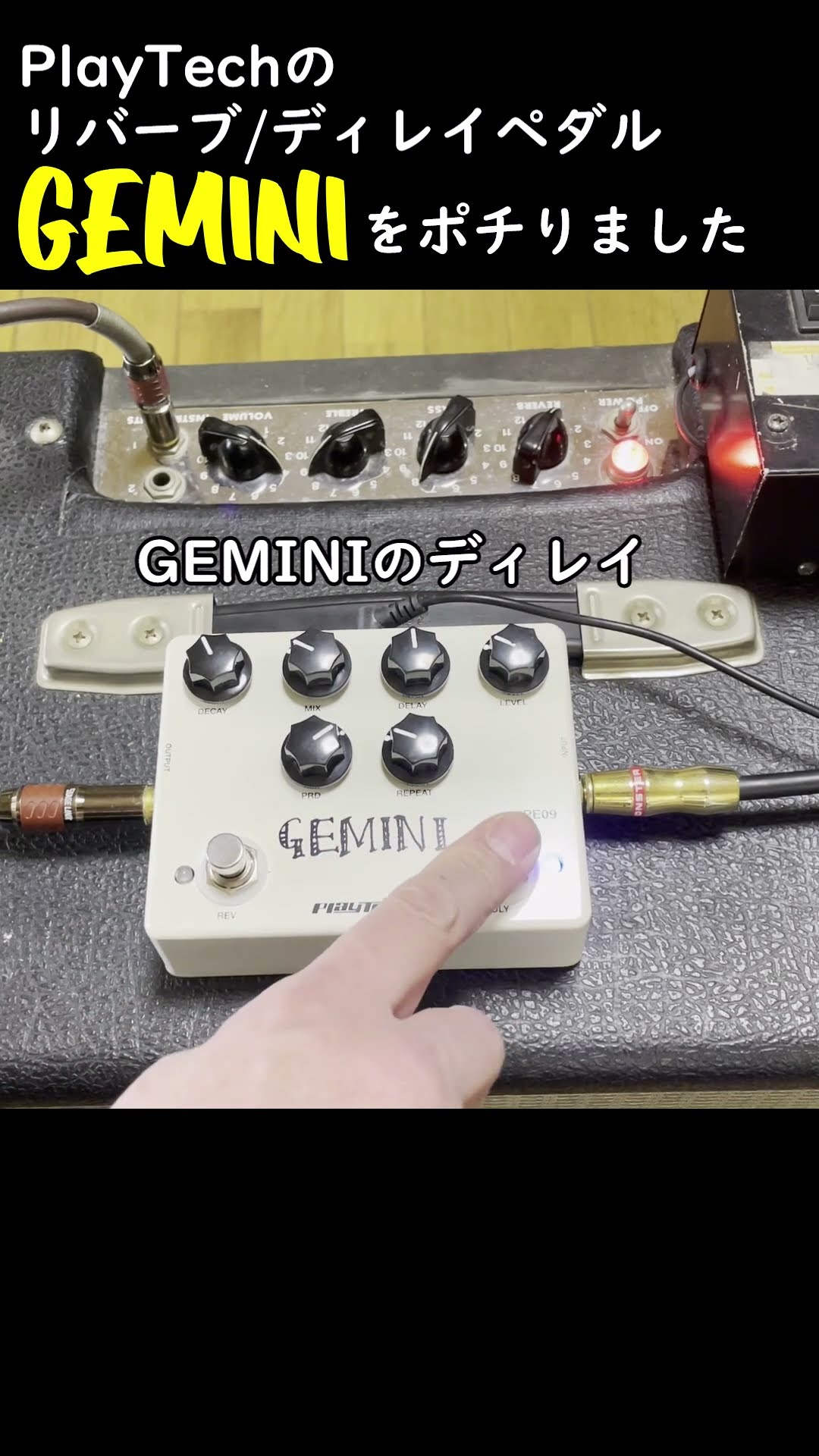 PLAYTECH/Gemini/リバーブディレイ/初心者おすすめ/学生 送料