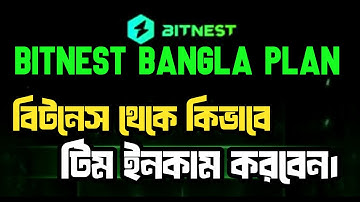 Bitnest Bangla plan. Bitnest income plan. বিটনেস থেকে কিভাবে ইনকাম করবেন। বিটনেস স্টেকিং ইনকাম।