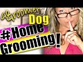 How to Groom your Dog During Groomers SHUT DOWN