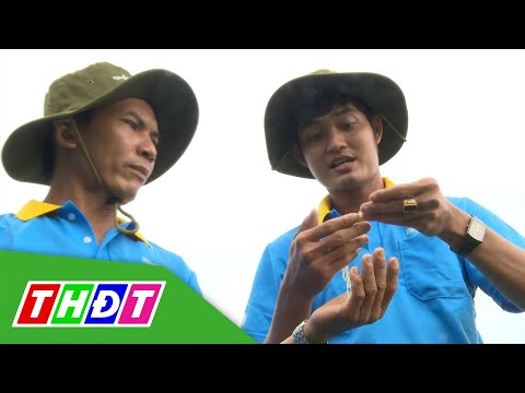 Video Biện pháp quản lý bệnh hại lúa đòng trổ | Syngenta... - youtube