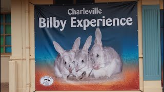 48 Hour Visit To Charleville In South West Queensland