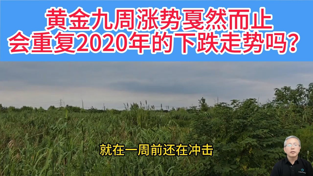 金价单周狂泄 360 美元！2020 年暴跌噩梦要重演？散户与华尔街彻底分歧？2020 年 8 月那种创新高后长达 30 周的下跌，会不会正在重演？