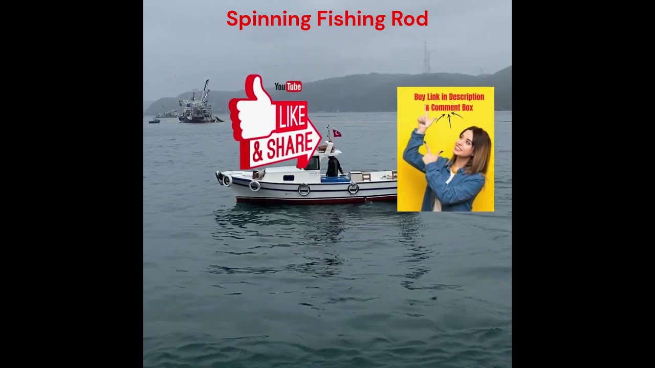 Best Spinning Fishing Rods / Best Spinning Fishing Rod and Reel Combo / 