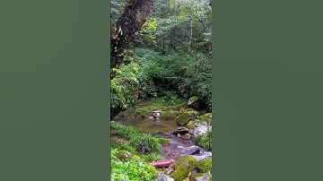 ماتيسر من سورة النمل تلاوة تريح القلب❤️🎧