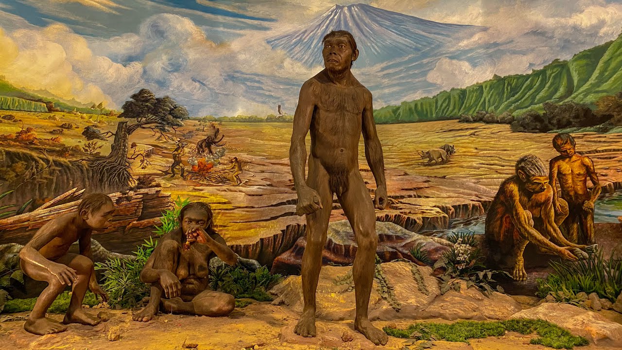 Museum Manusia Purba Sangiran Sragen, Jawa Tengah [E05]