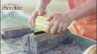 Cacao pod breaking and fermenting