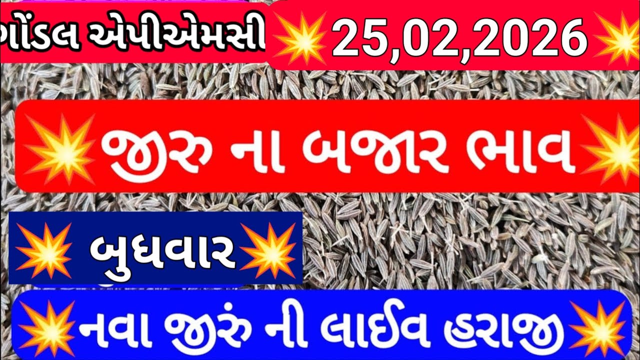 આજના જીરાના બજાર ભાવ / ગોંડલ જીરાના બજાર ભાવ / નવા જીરાના બજાર ભાવ /25,02,2026