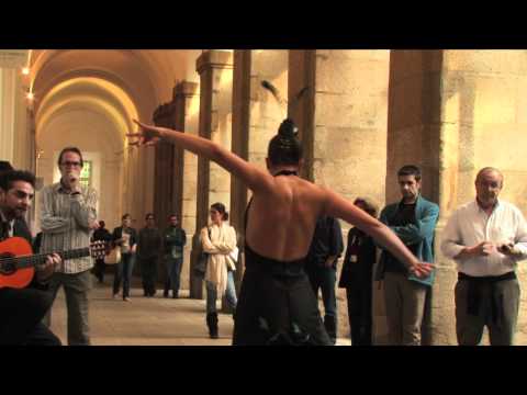 Asaltos de la Danza - Selene Munoz - Museo Reina S...