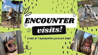 A Day of Encounters at Tanganyika