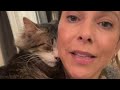 Scared cat melts when woman shows him love