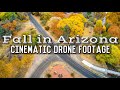 Autumn in Arizona Fall Foliage Cinematic Drone Video Footage (4K)