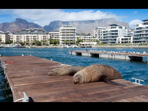 Видео фото отчет наших корпоративных клиентов из путешествия в ЮАР