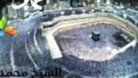 سورة الزلزلة، الشيخ محمد المحيسني