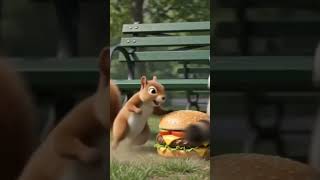 The Ultimate Burger Battle! 🦝🐿️