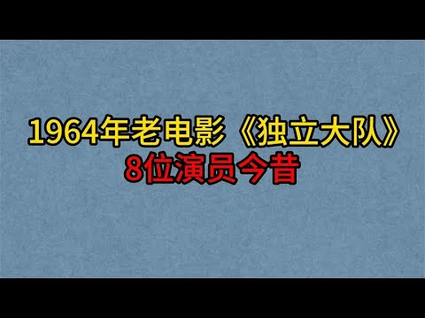 前南斯拉夫影片——旧恨新仇（吴茵/中叔皇/赵慎之 等配音）